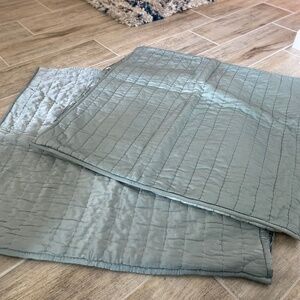 Pottery Barn Silk Blend Euro Shams (Set of 2)